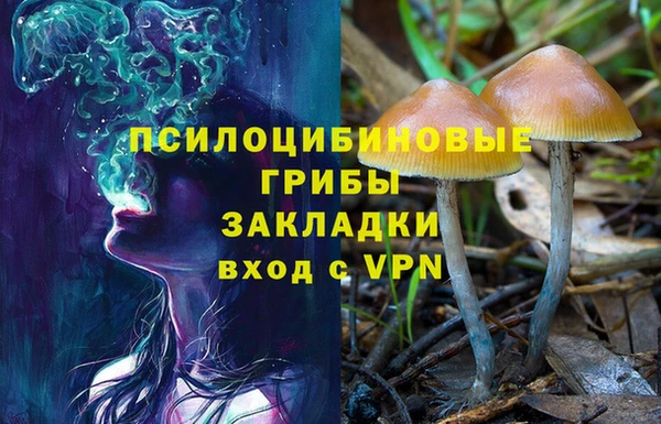 ECSTASY Чита