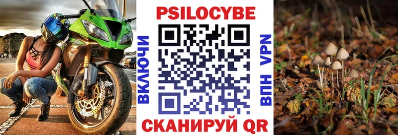 МЕГА ONION  наркошоп  Нелидово  Псилоцибиновые грибы прущие грибы 